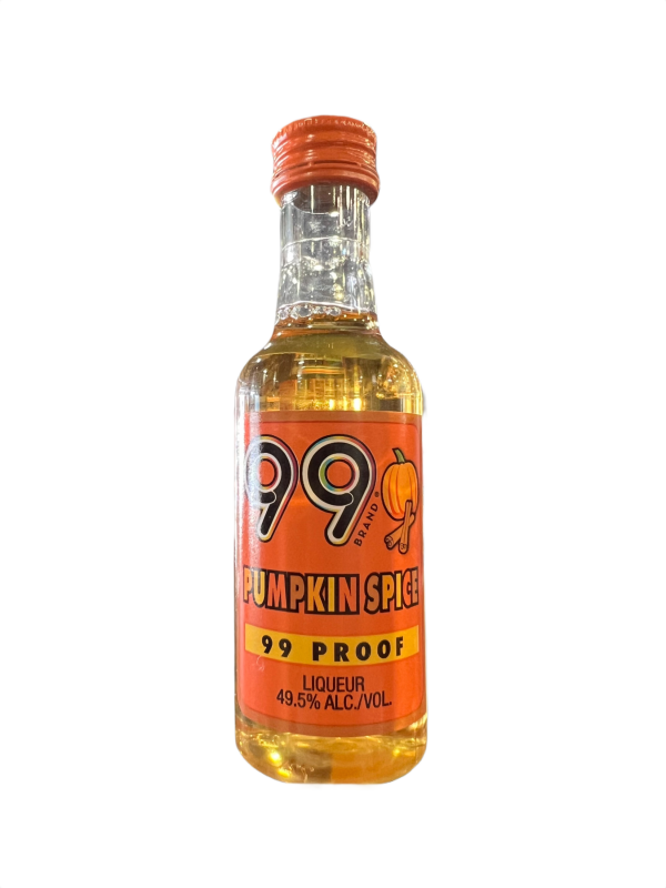 99’s Pumpkin Spice 50ml
