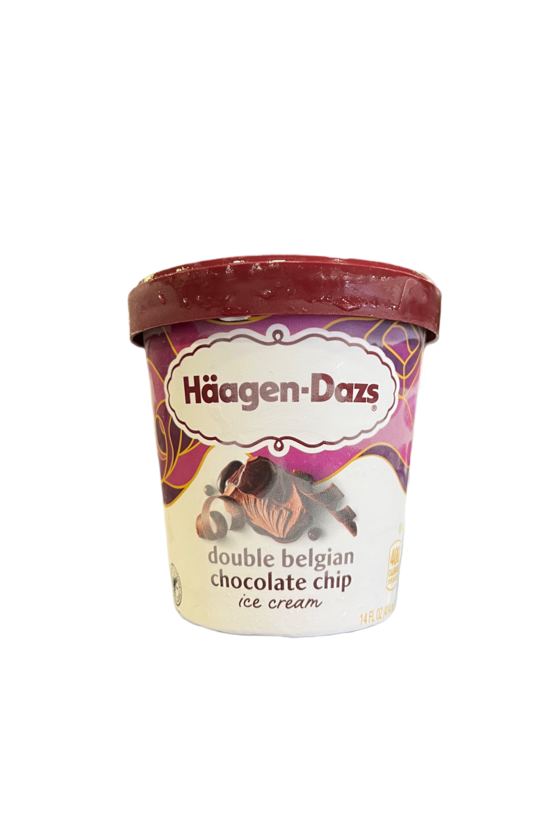 Haagen Dazs Double Belgian Chocolate Chip (14oz)